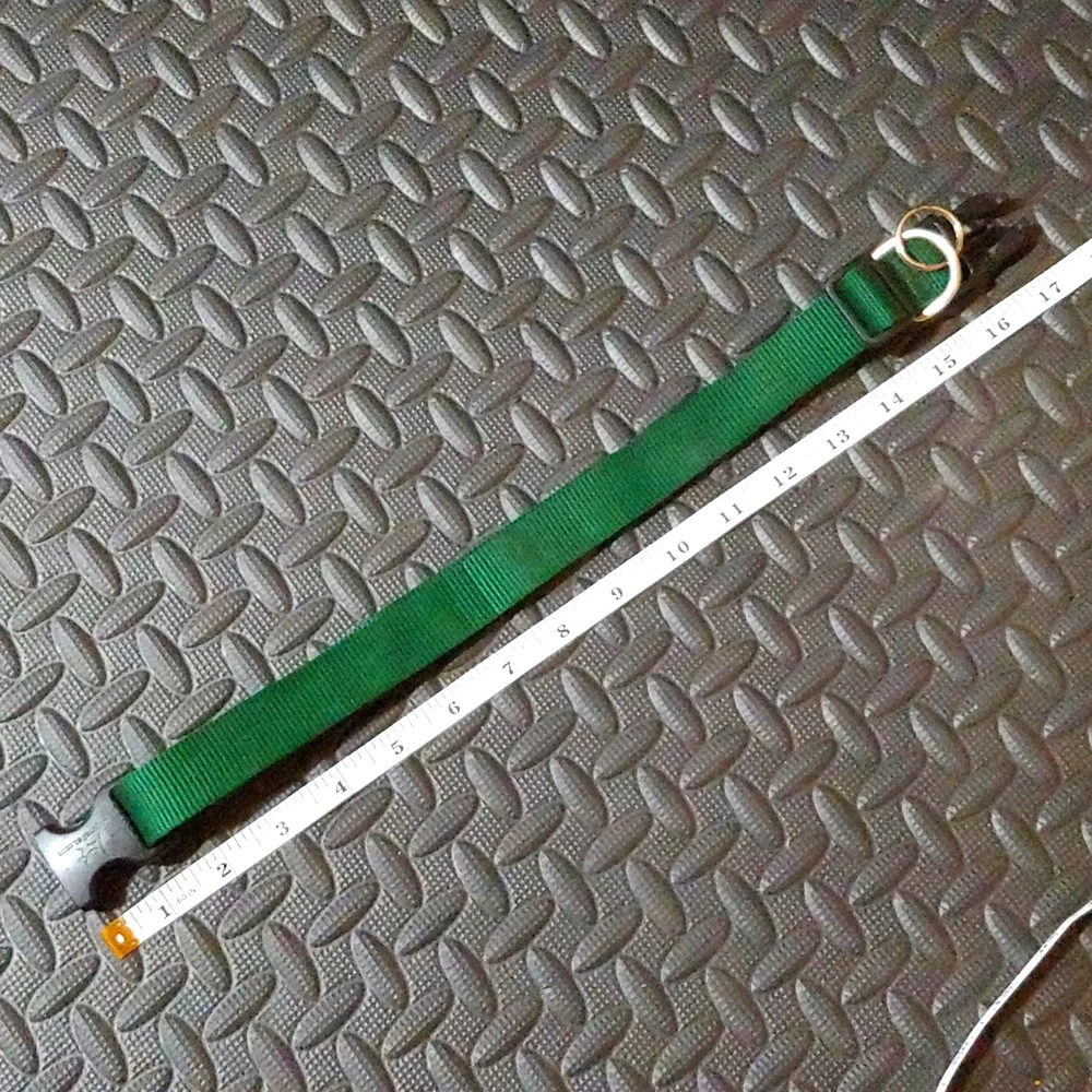 GREEN DOG COLLAR * PET COLLAR * 17-30